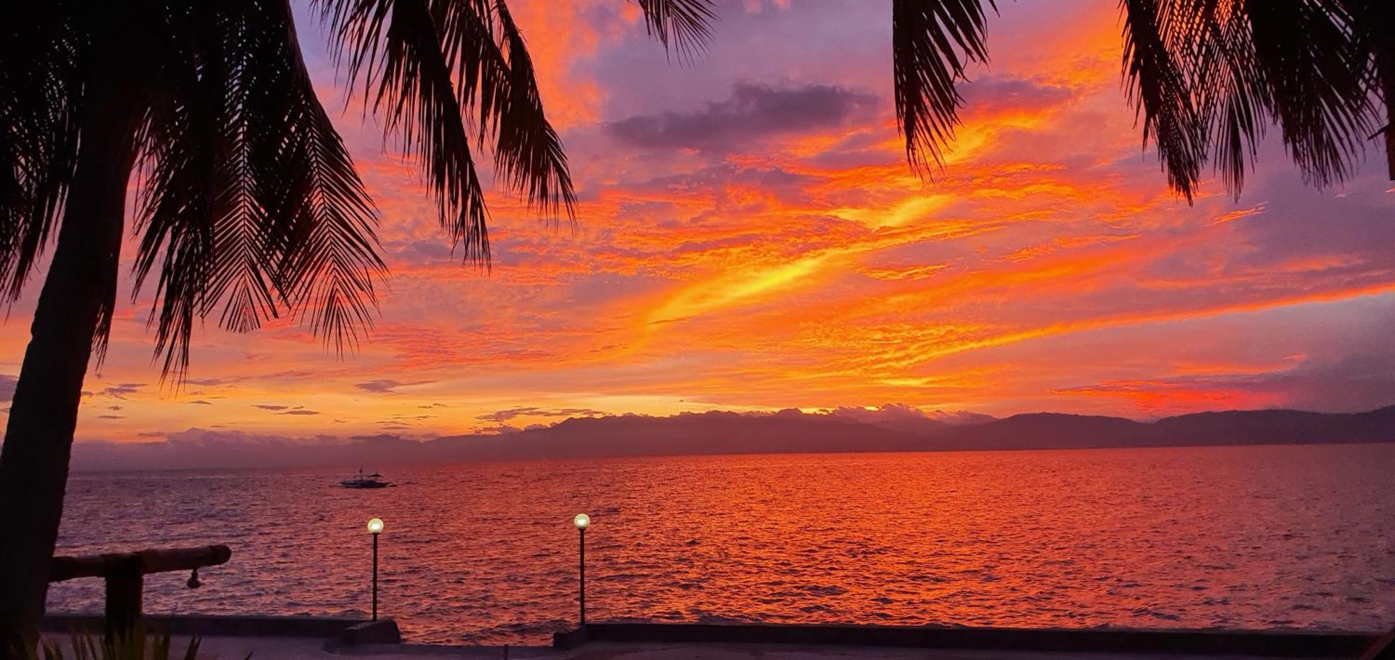 Tauig Beach Resort Moalboal Oda fotoğraf